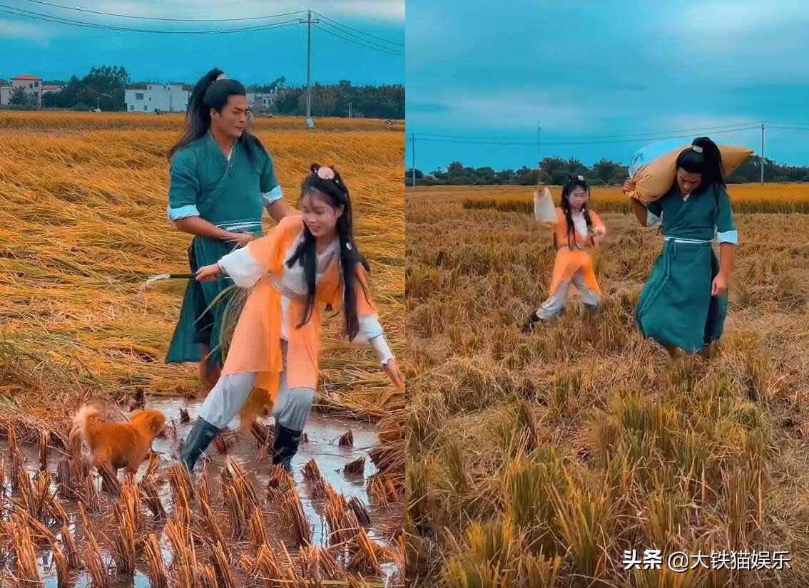 喬峰帶阿朱阿紫砍甘蔗，步驚云養(yǎng)雞，聶風(fēng)放羊，這屆江湖亂套了