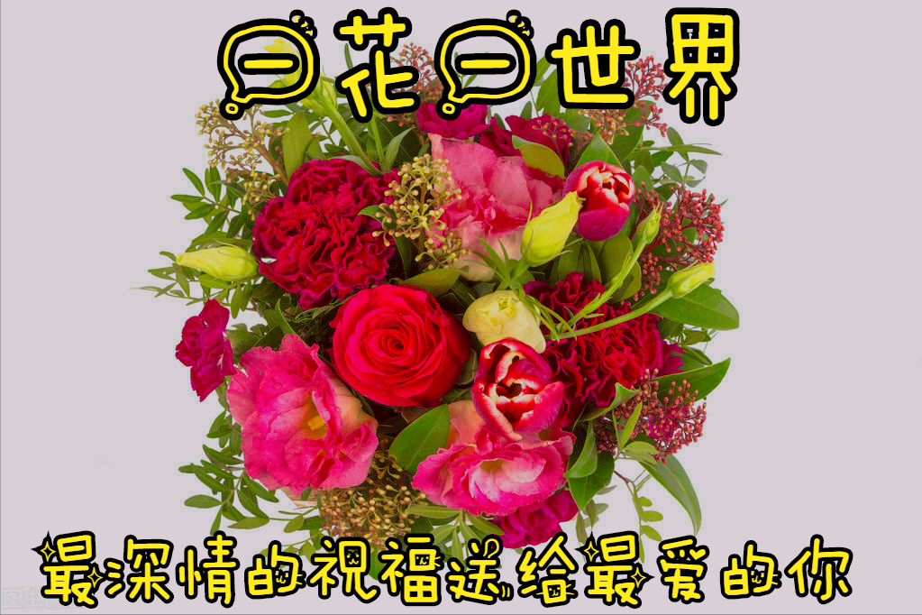 一花一世界,一花一开一春天,最深情的祝福,送给心中最爱的你