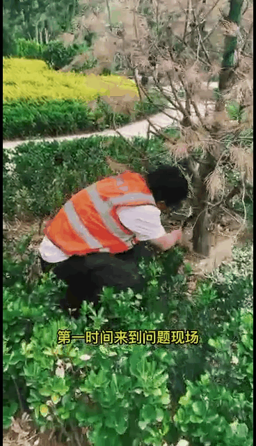 峰景园林智慧管理云平台应用场景——群众问题上报
