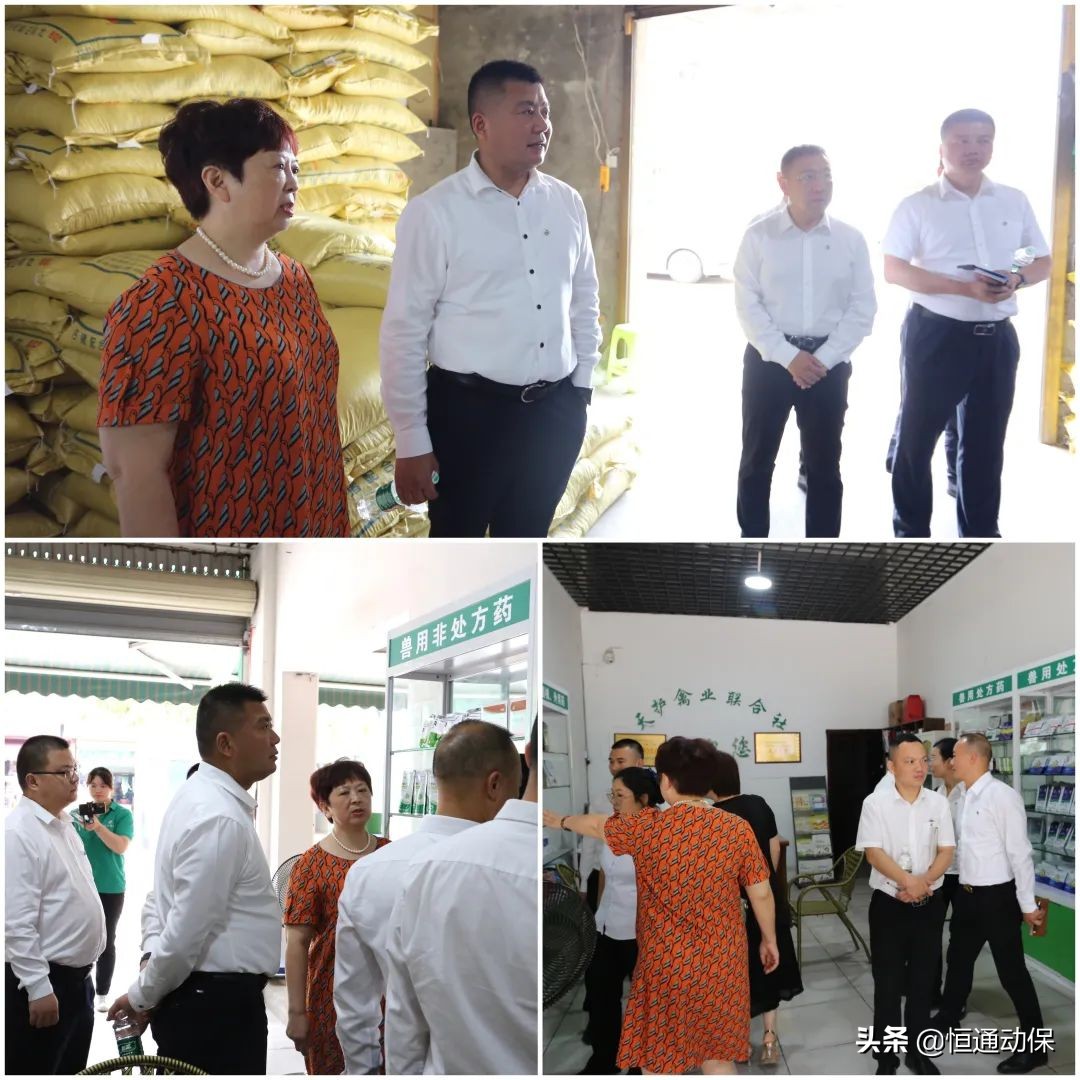 �Ĵ���ͨ�����Ÿ������커��ҵ�����罻��ѧϰ