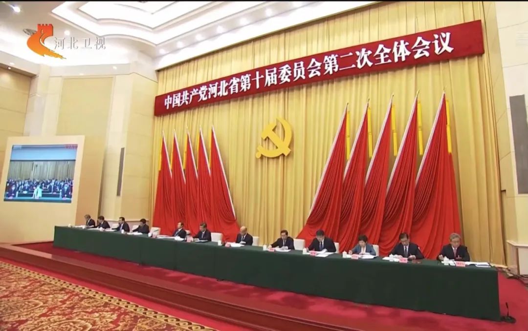 河北省委：以雷霆之势对危害群众安全的违法犯罪行为进行严厉打击