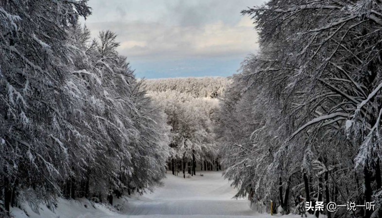 阿尔卑斯山滑雪场在哪(意大利的家庭滑雪假期，去哪里玩？)