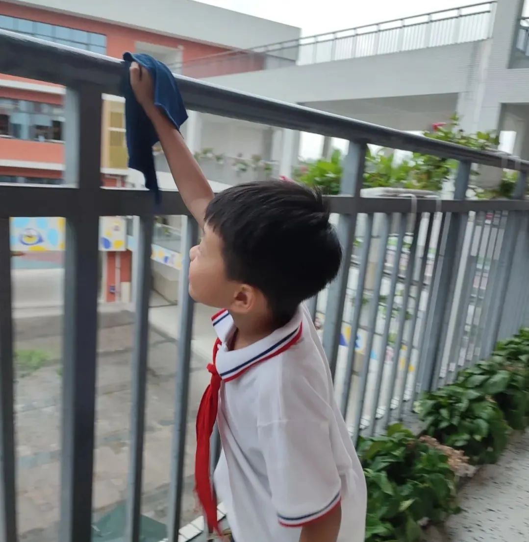 劳动之底色 幸福之源泉｜记双流区实验小学外国语学校劳动系列课程