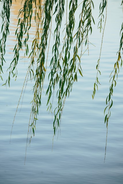 送友人原文及翻译朗诵「送友人原文及翻译」