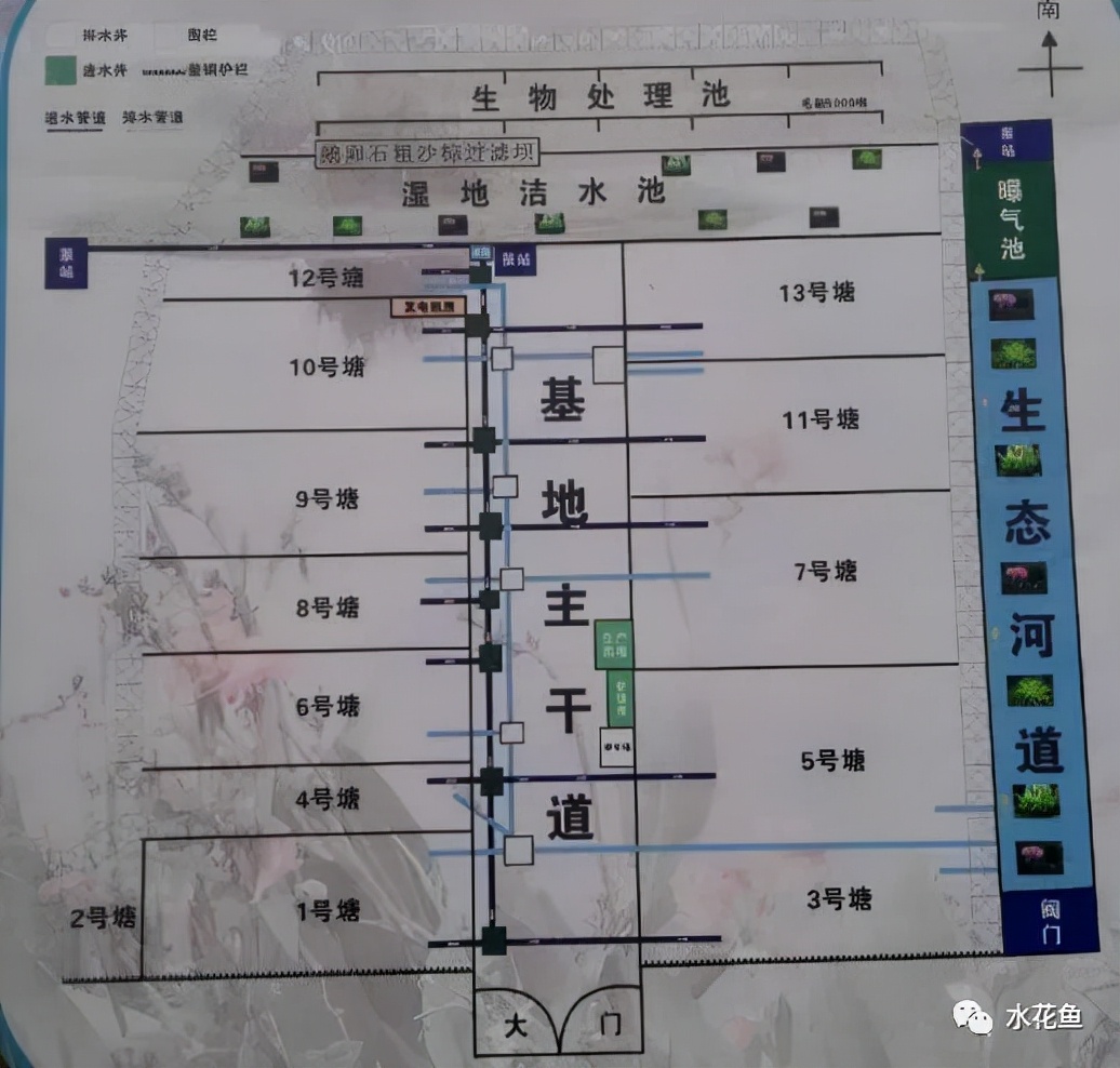 水产养殖尾水处理——多级人工湿地净水技术