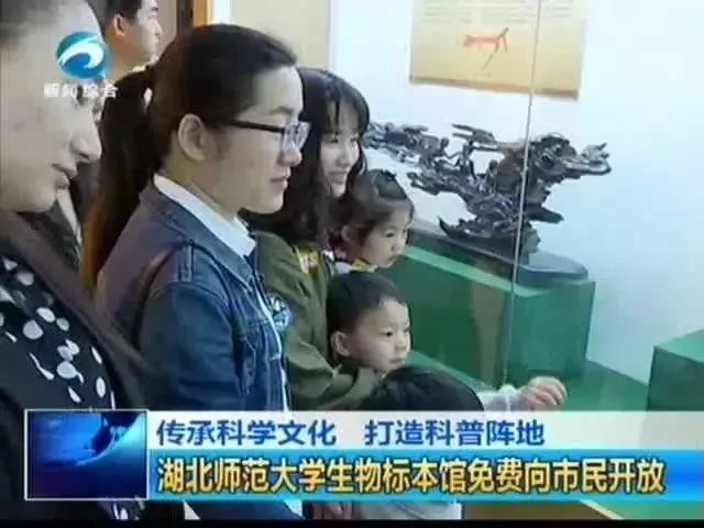 建筑面积820平米！湖北“超火”标本馆,上榜省级名单，可免费参观