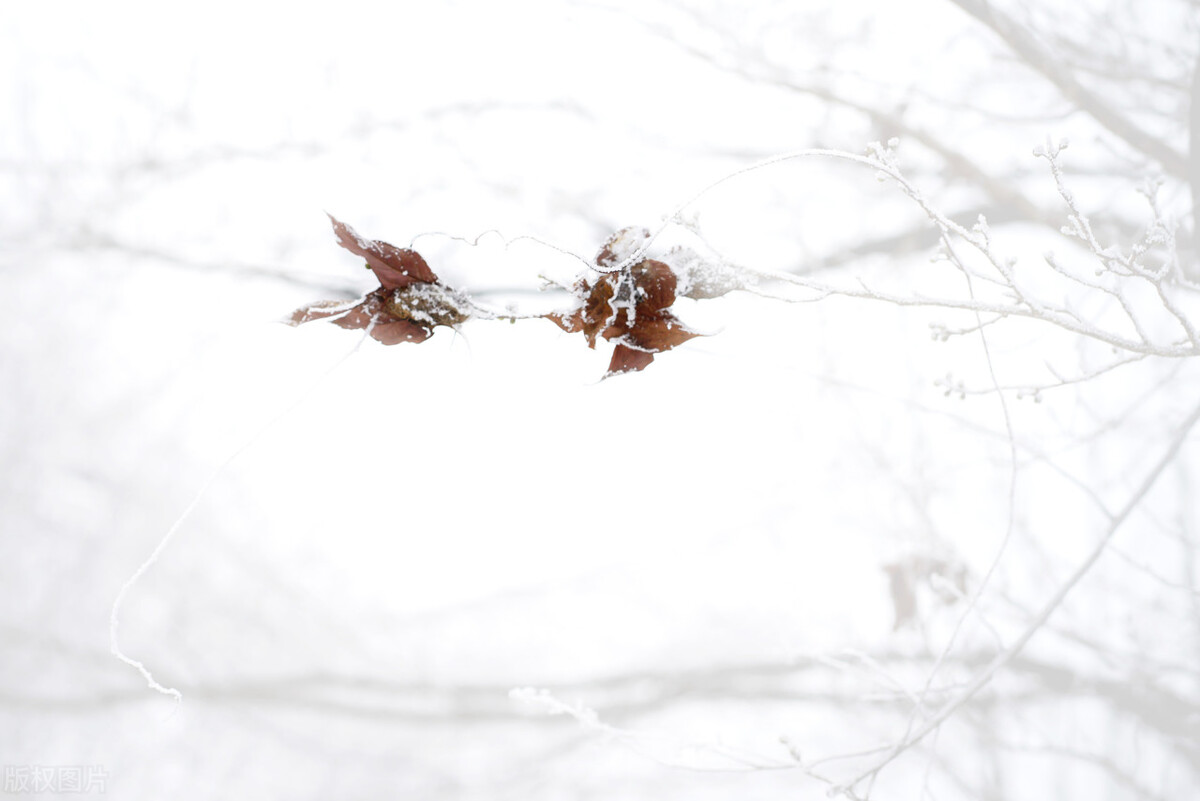 杭州哪里有滑雪場（無滑雪不冬天！浙江家門口的六大滑雪場推薦，滑雪愛好者必打卡）