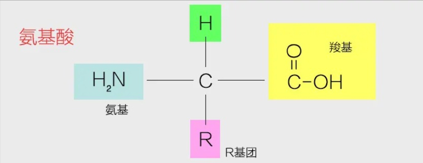 ���Ƕ������Ǻ����70������ʯ����DNA�ɷ֣���������������̫��