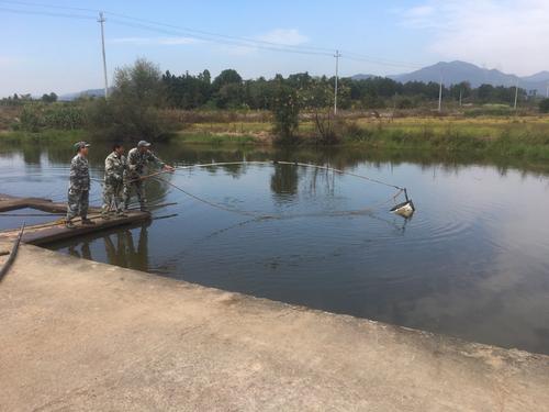 男子因杀妻被判15年，11年后“亡妻”突然回家，已和他人结婚生子