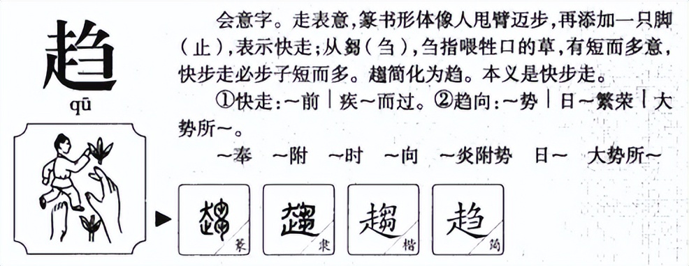 趋的拼音 趋怎么读 - 风集网