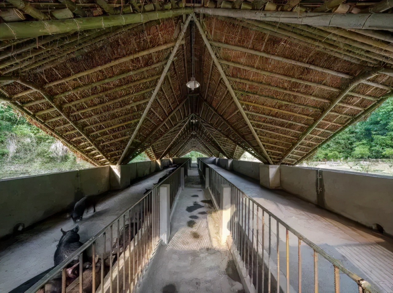 22个乡村改造案例：重构中国乡村风貌