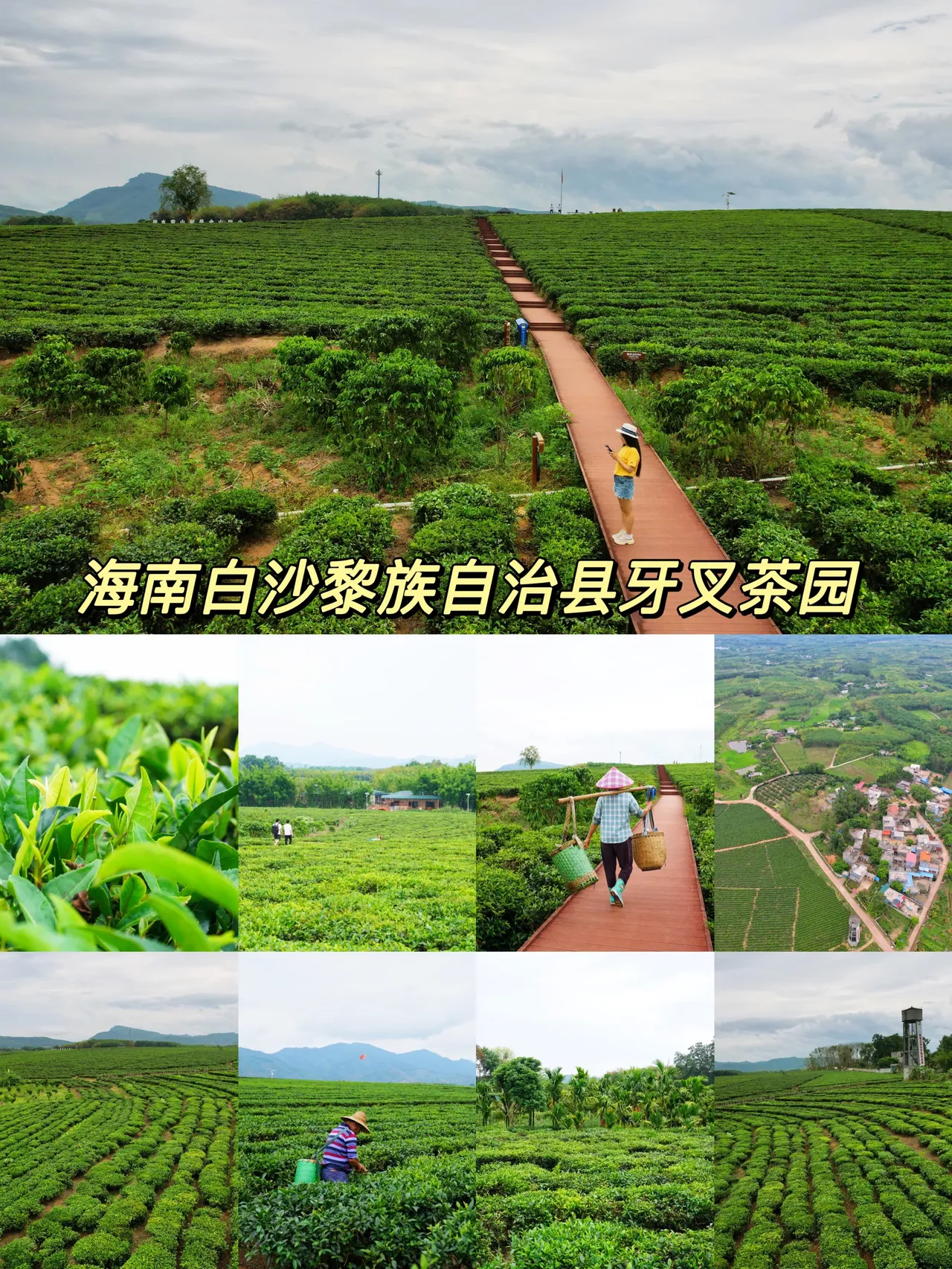 自驾海南，探寻雨林秘境，黎族村落到茶园深处，4天3晚游玩全攻略