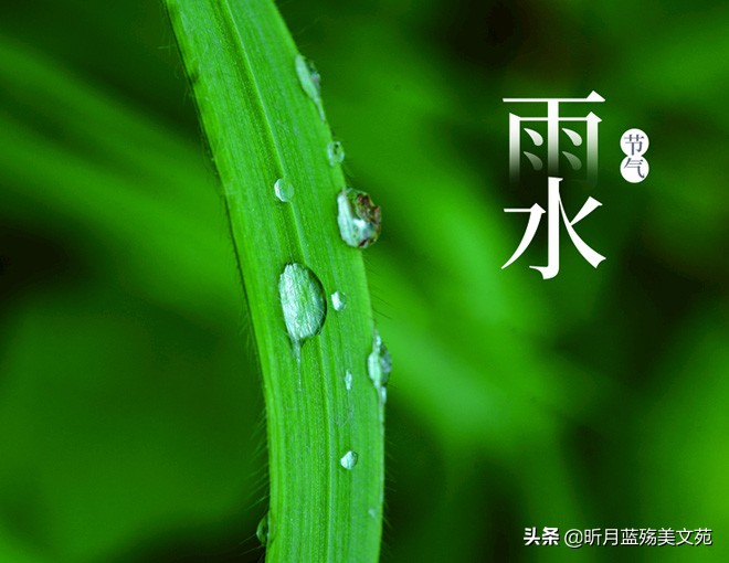 雨水：一场春雨一场暖，一份相思一份情