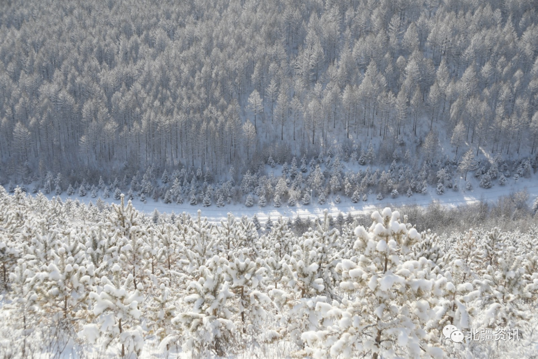 美图！三月春雪添诗意 玉树琼瑶美“出圈”