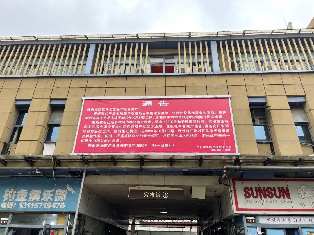 杭州哪个超市最大(地铁综合体来了！老城西这些小区喜提新商场)