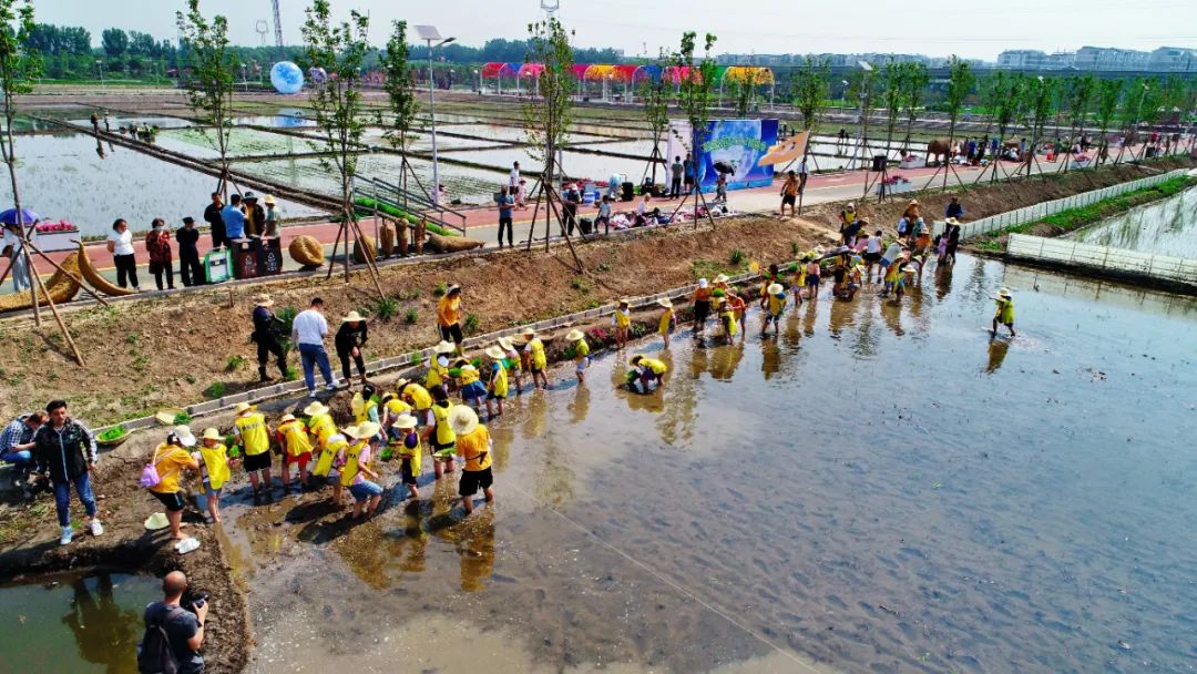 太原市晋源区：稻田公园浓情端午节 别样插秧忙