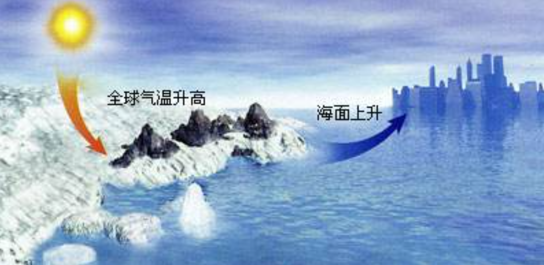 �ϼ������ڻ�����ѧ�ҷ���������Ķ����������ж����أ�