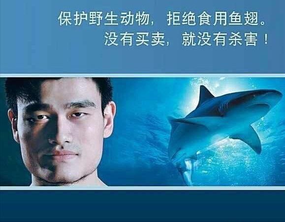 之前看到有朋友一本正经地说要抵制"鲨鱼皮"泳衣,爱护自然,保护鲨鱼