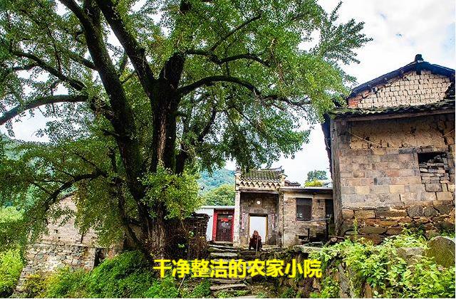 谁说农村是“脏乱差”的代表？看完本文，你的猜测也许就会转变了