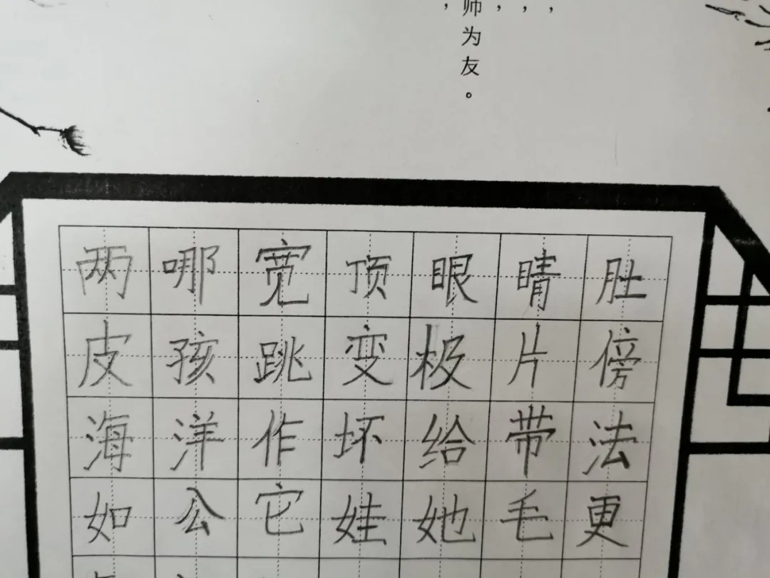 泼墨造物 笔下生花——四川天府新区万安小学硬笔书法比赛
