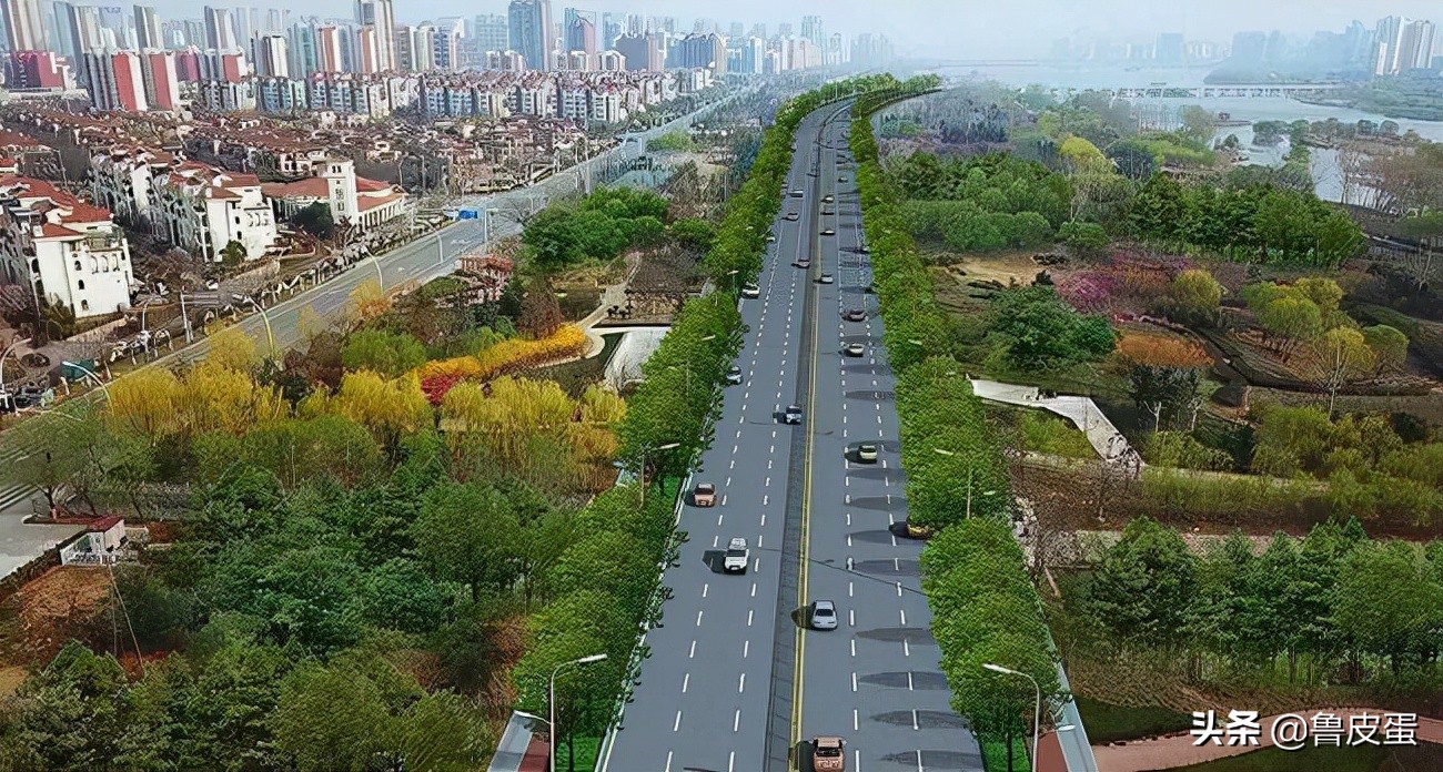 适时建设沂州路等公交专用道 研究京沪高速(市区段)鲁Q小客车免费
