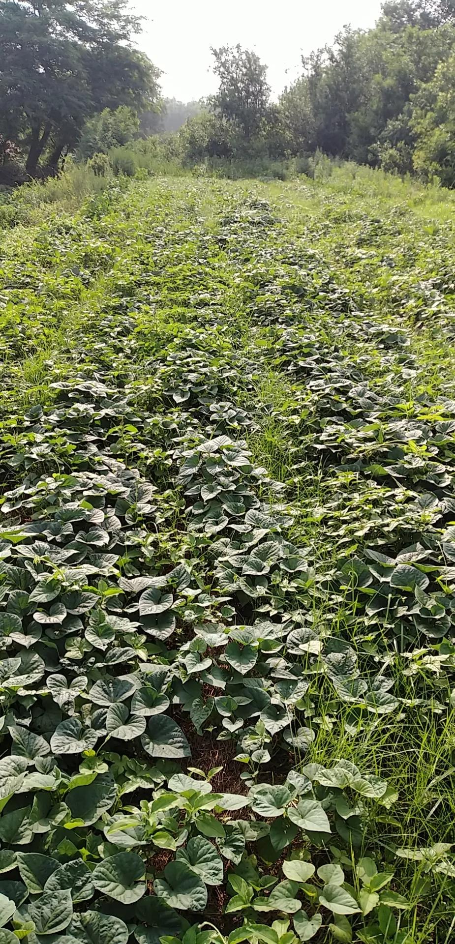 律师执业与律师考试之间的区别