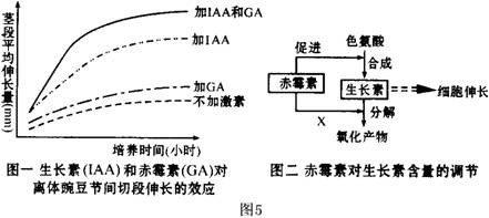 青鲜素相当于什么植物激素（青鲜素相当于什么植物激素类）-第20张图片-昕阳网