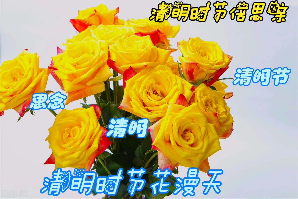 一花一念，奶奶的温柔在风中轻语