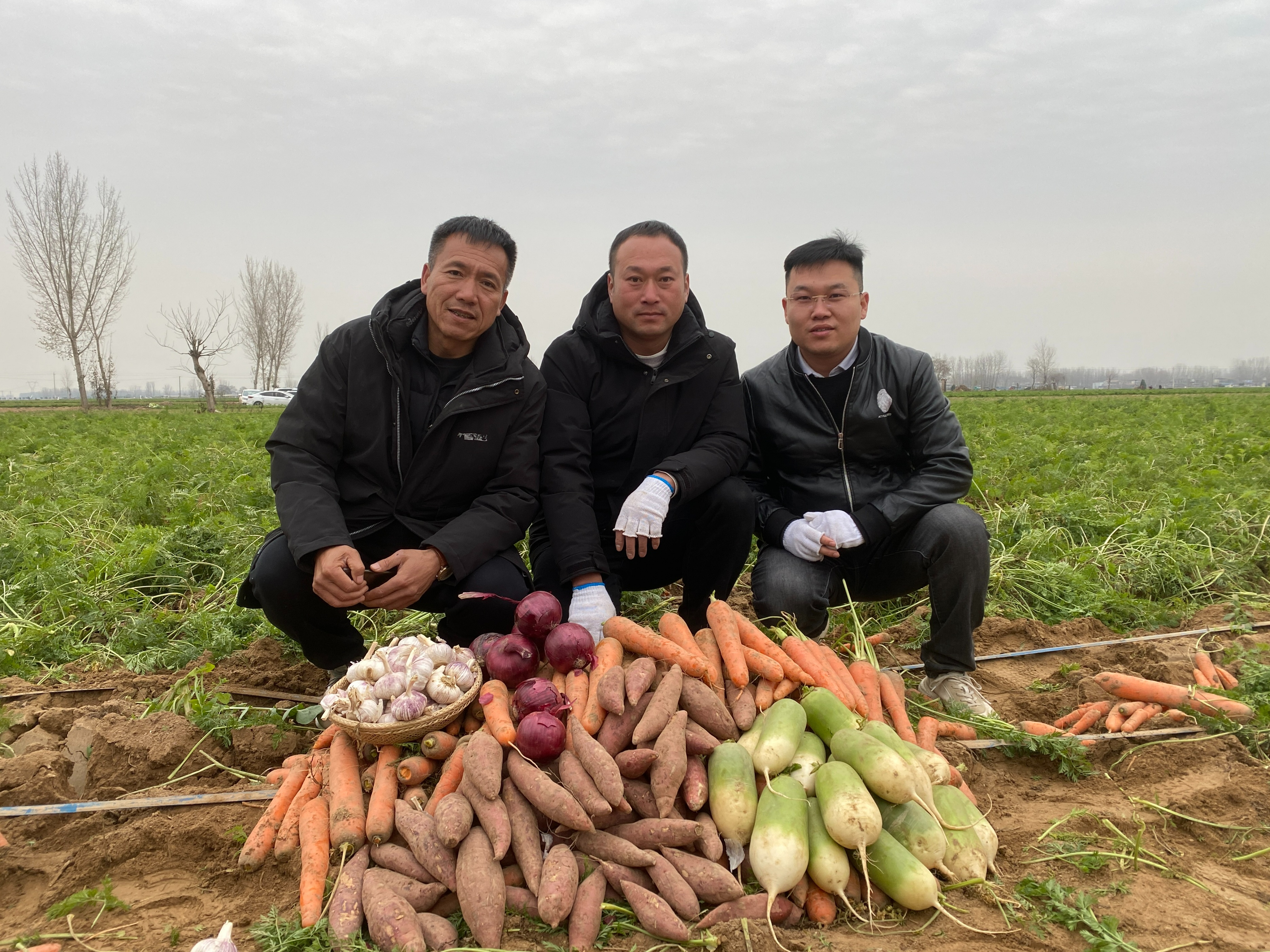 卖出超60万斤蔬菜，河南胡萝卜、大蒜等借抖音电商出村