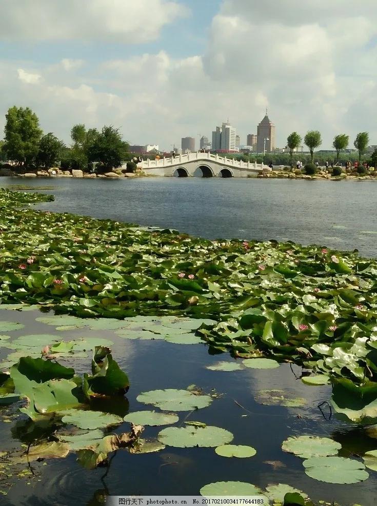 长春风景大连人:于长连2022年3月22日