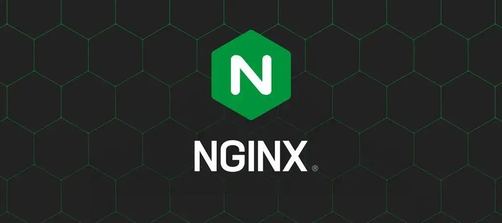 技术大佬教你如何使用Nginx在公网上搭建加密数据通道？