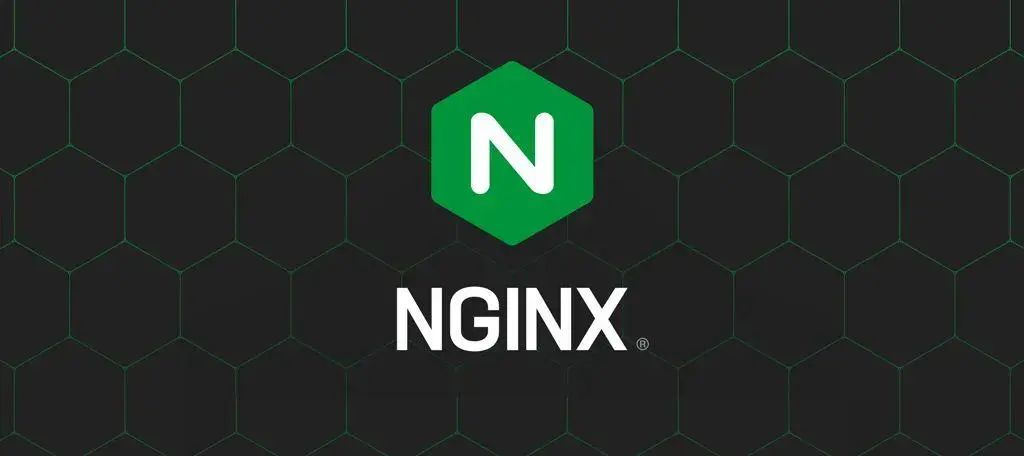 技術大佬教你如何使用Nginx在公網上搭建加密數據通道？