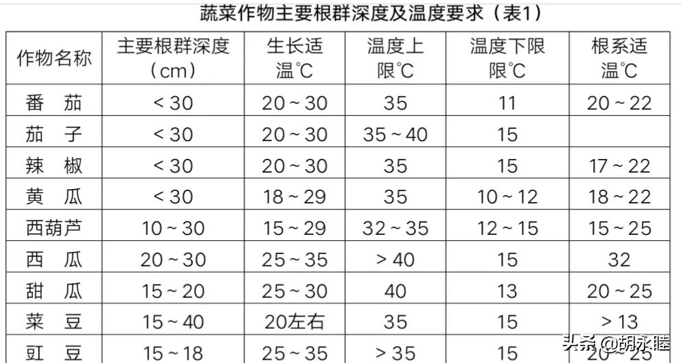 2000平米大棚，4个月取暖费30多万元，种啥能有这么高的收益？