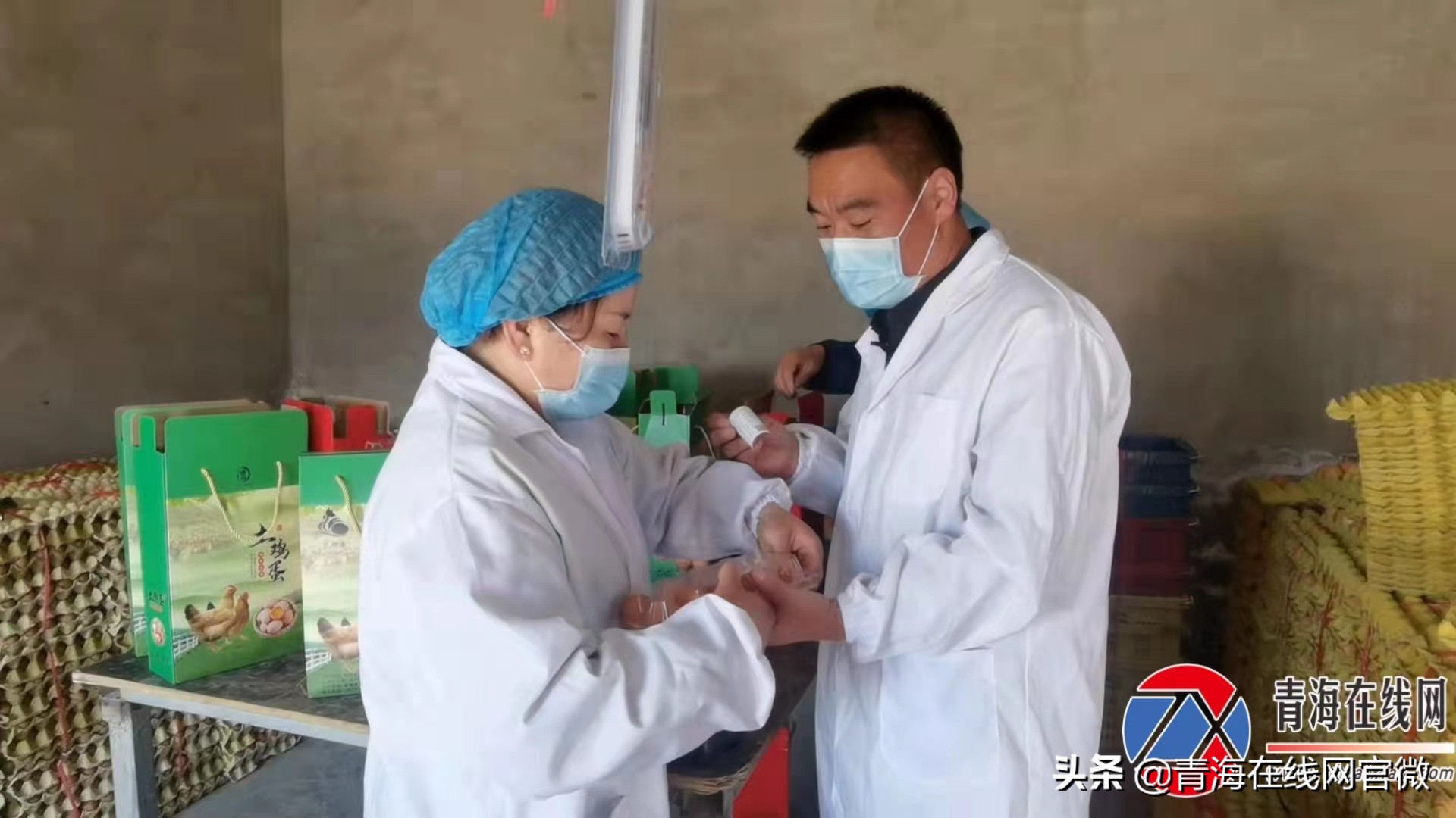 青海80后大学生夫妻回乡创业，年收入1000多万