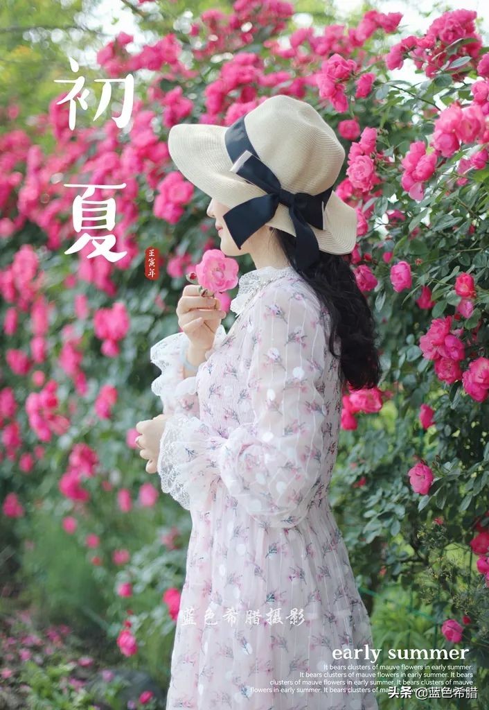 蔷薇花长什么样子图片（细嗅蔷薇感受夏日的浪漫诗意）