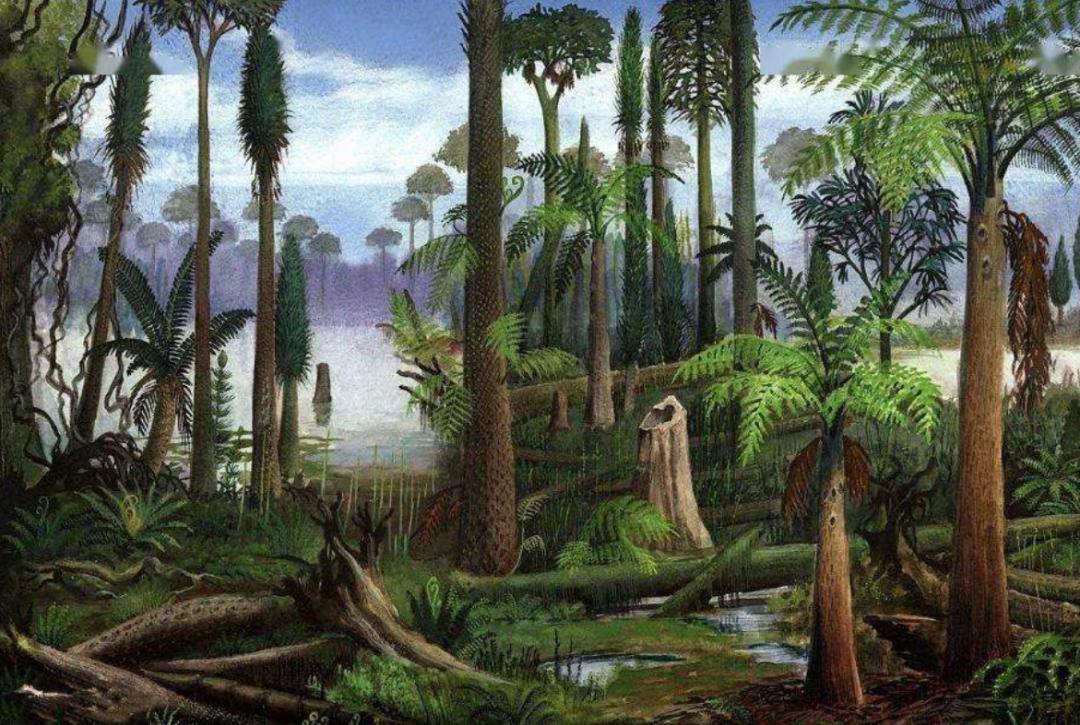 4亿年前，恐龙和人类还未诞生，那时的地球是什么样子？