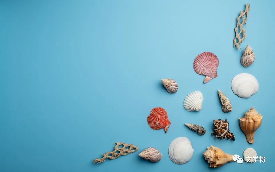 让人点赞的人生感悟文案