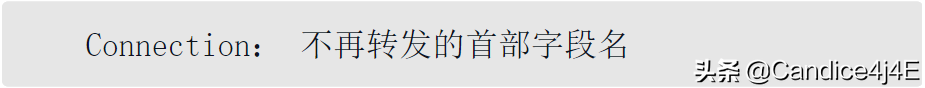 你必須知道的常用的報文首部字段