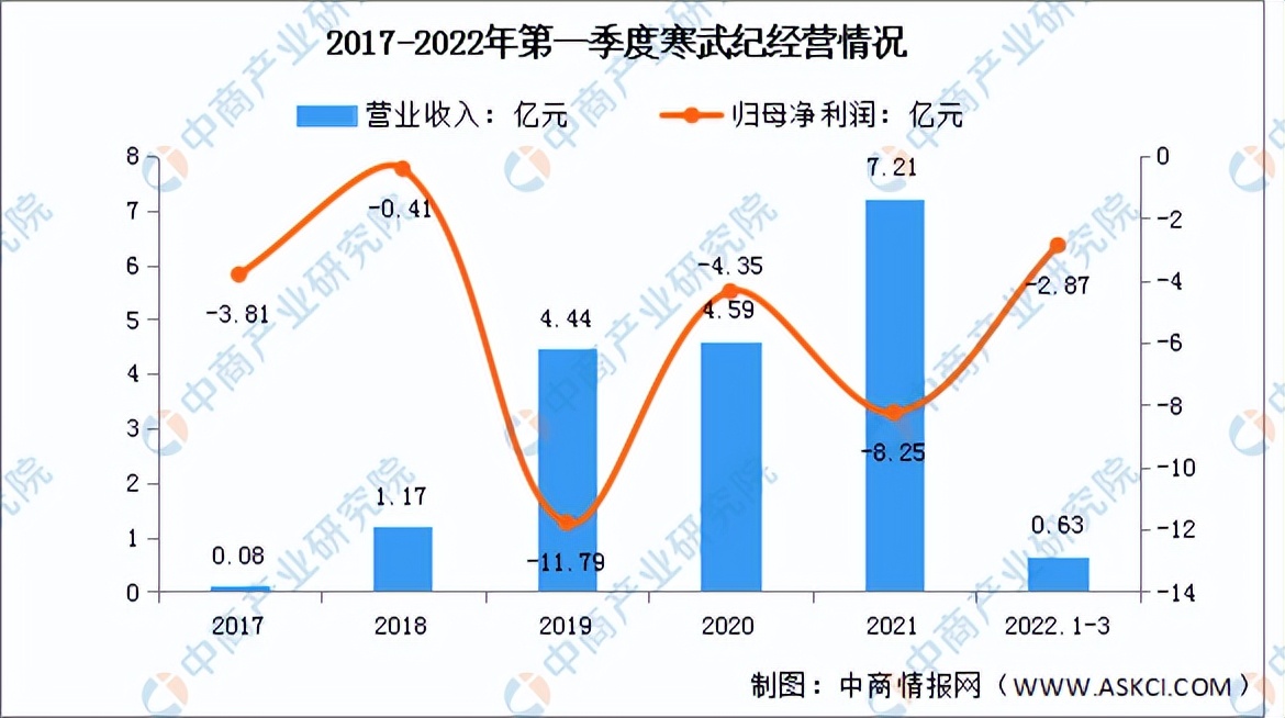 2022年中国AI芯片行业市场前景及投资研究报告