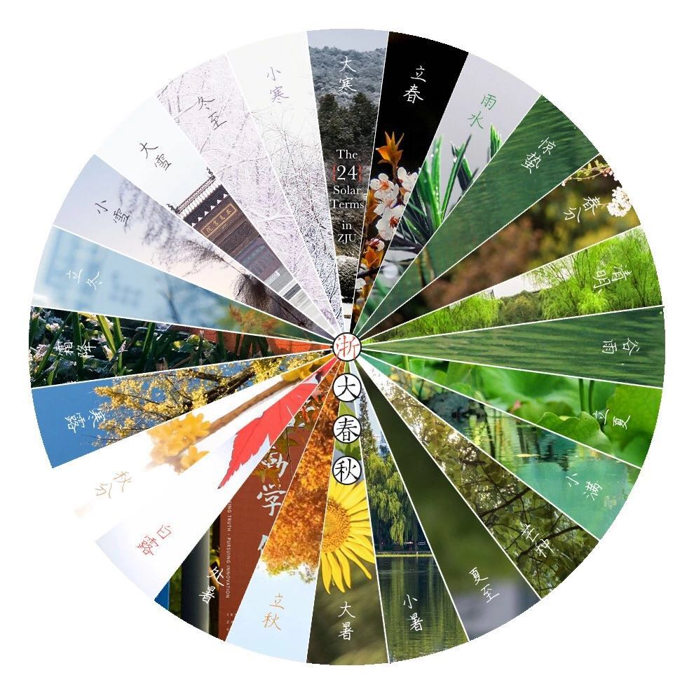 你，爱上浙大的理由是________