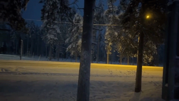 圣诞节到了(去芬兰看极光，见圣诞老人，路上却丢失行李，差点被锁地牢)