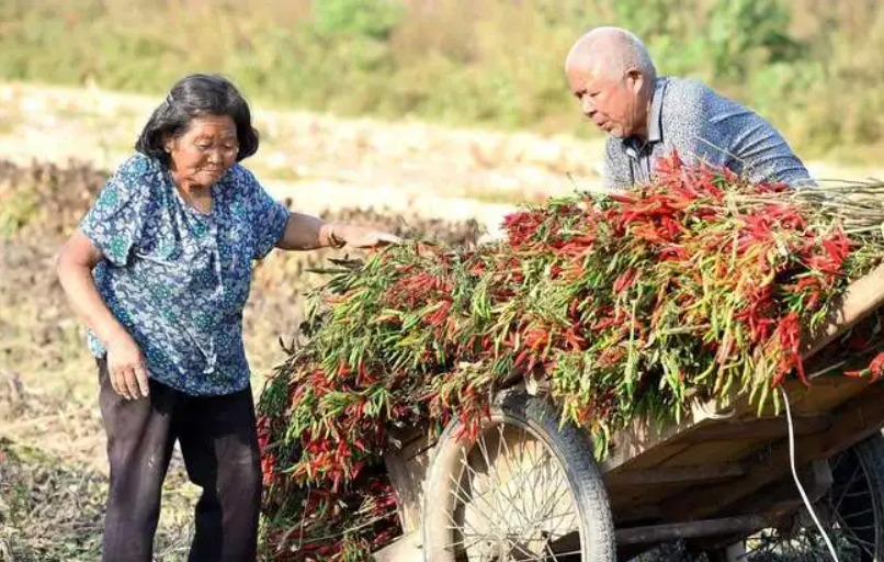 我觉得自己老了两年(俗话：“人老两年坎，迈过得福寿”，是哪两年？如何才能跨过)