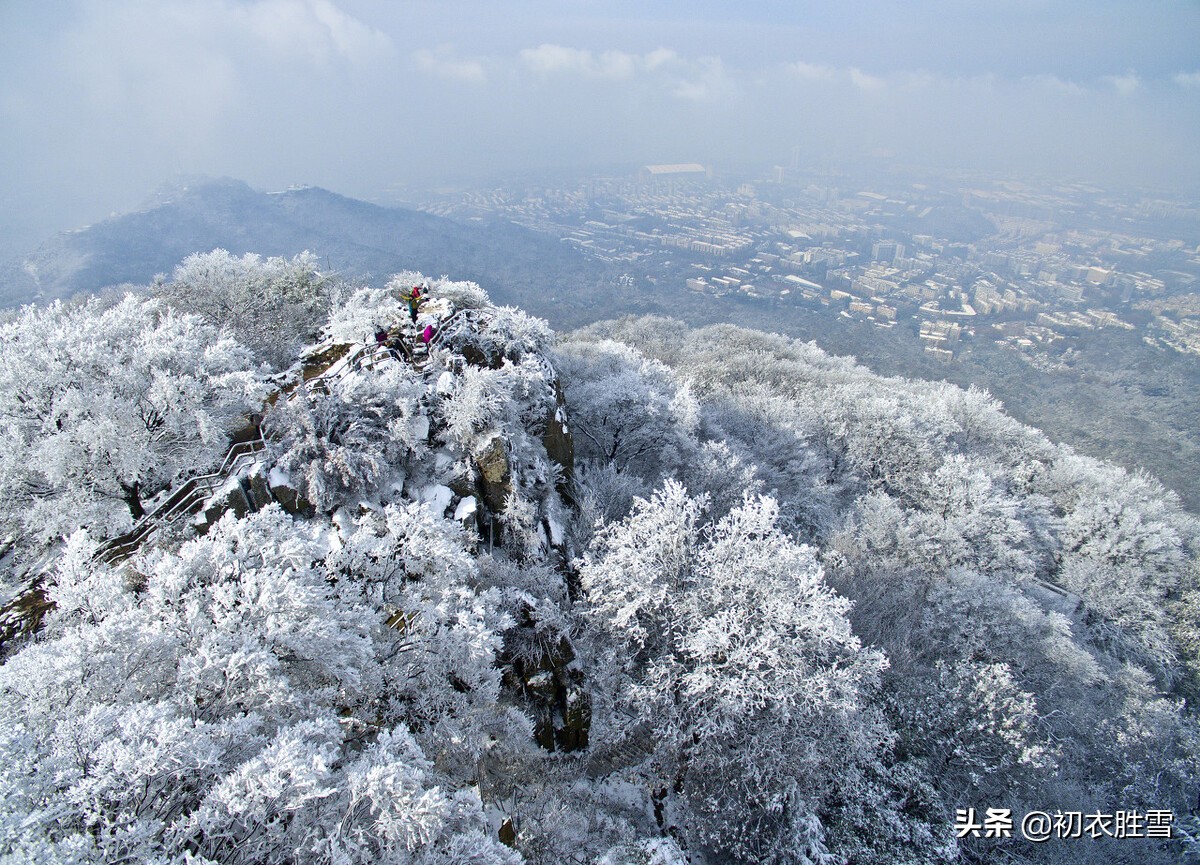 古诗中的飘飘雪八首：严寒瑞雪正飘飘，烂漫横陈玉树花