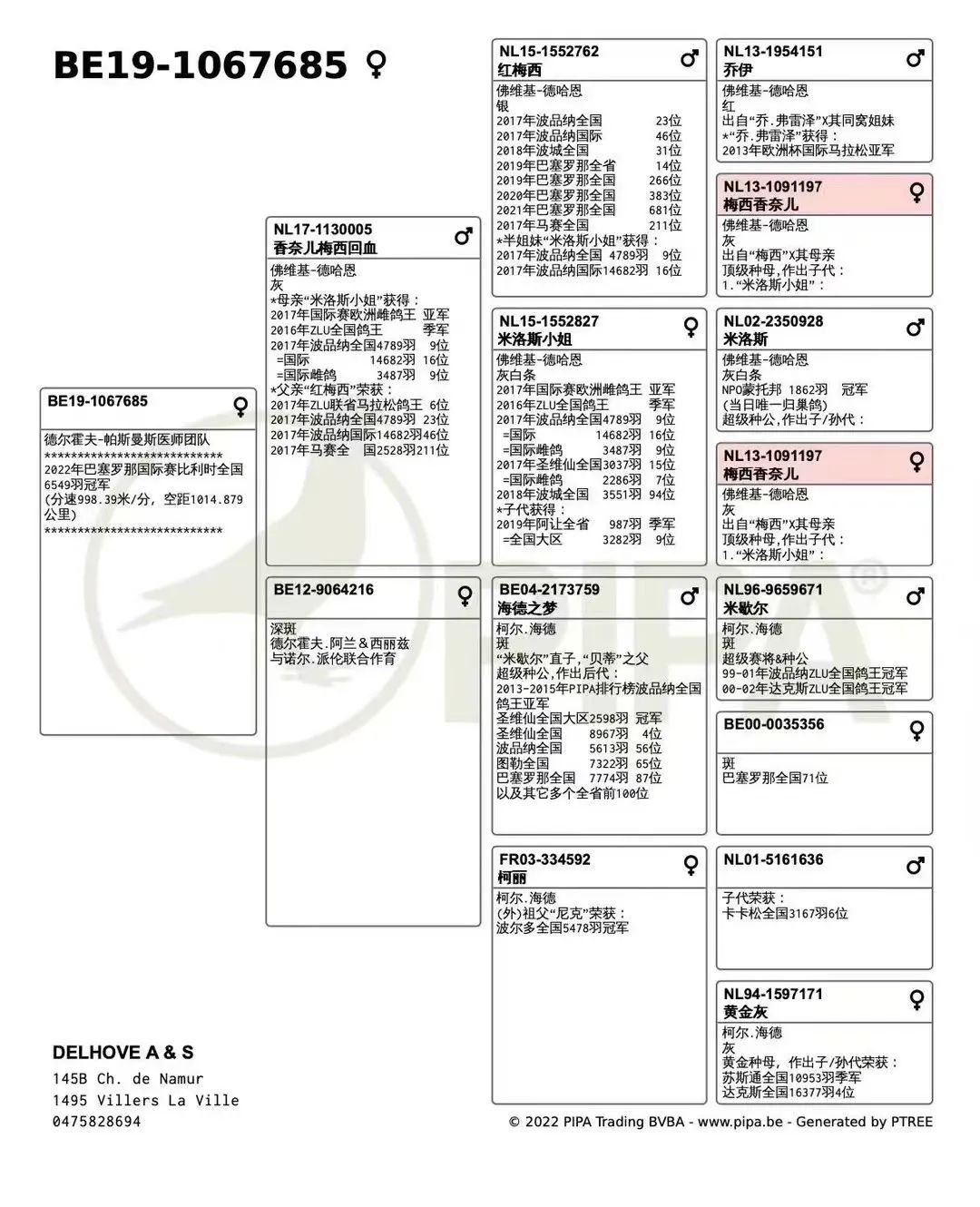 巴塞罗那简介(巴塞罗那国际冠军，全程逆风大幅度领先归巢，血统来头不小)