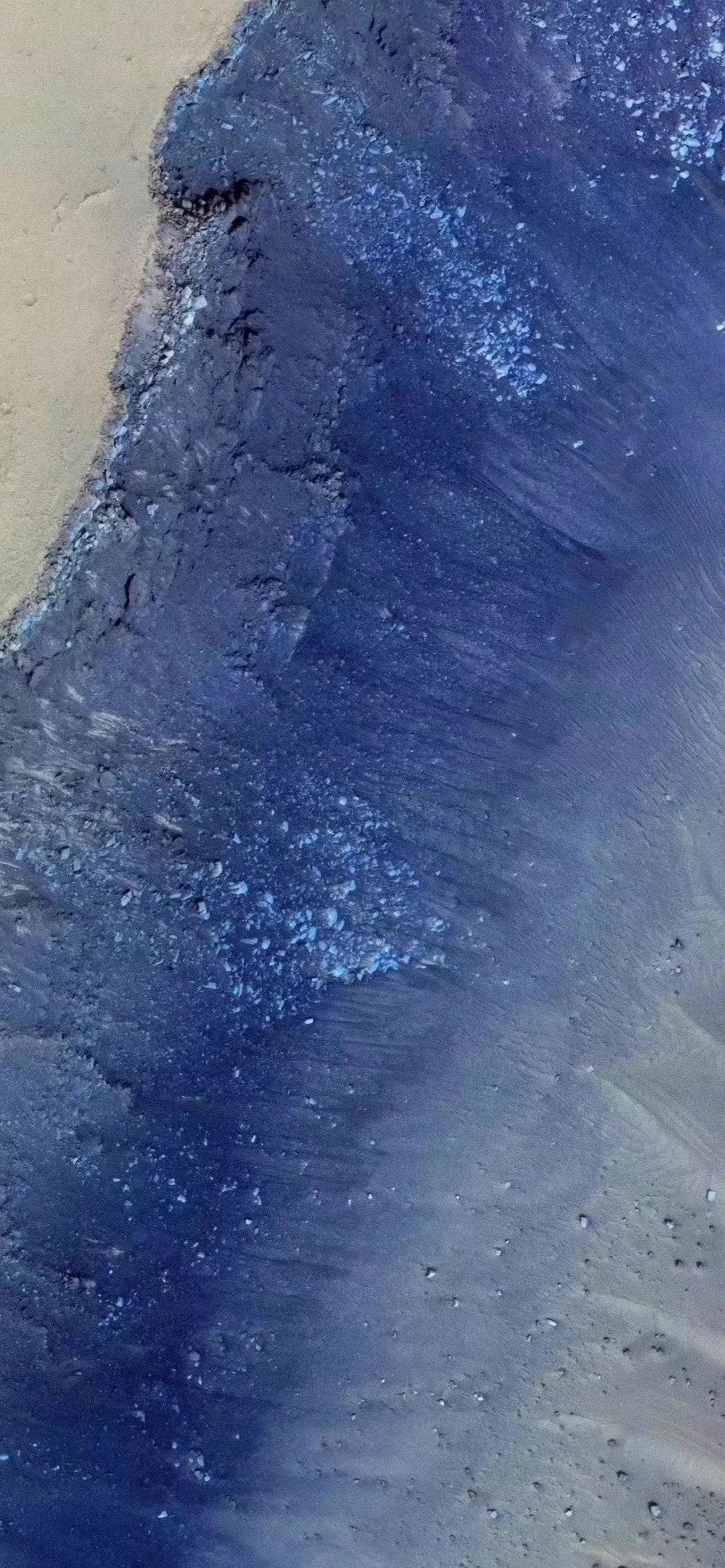 「文案」有期待终会有相见