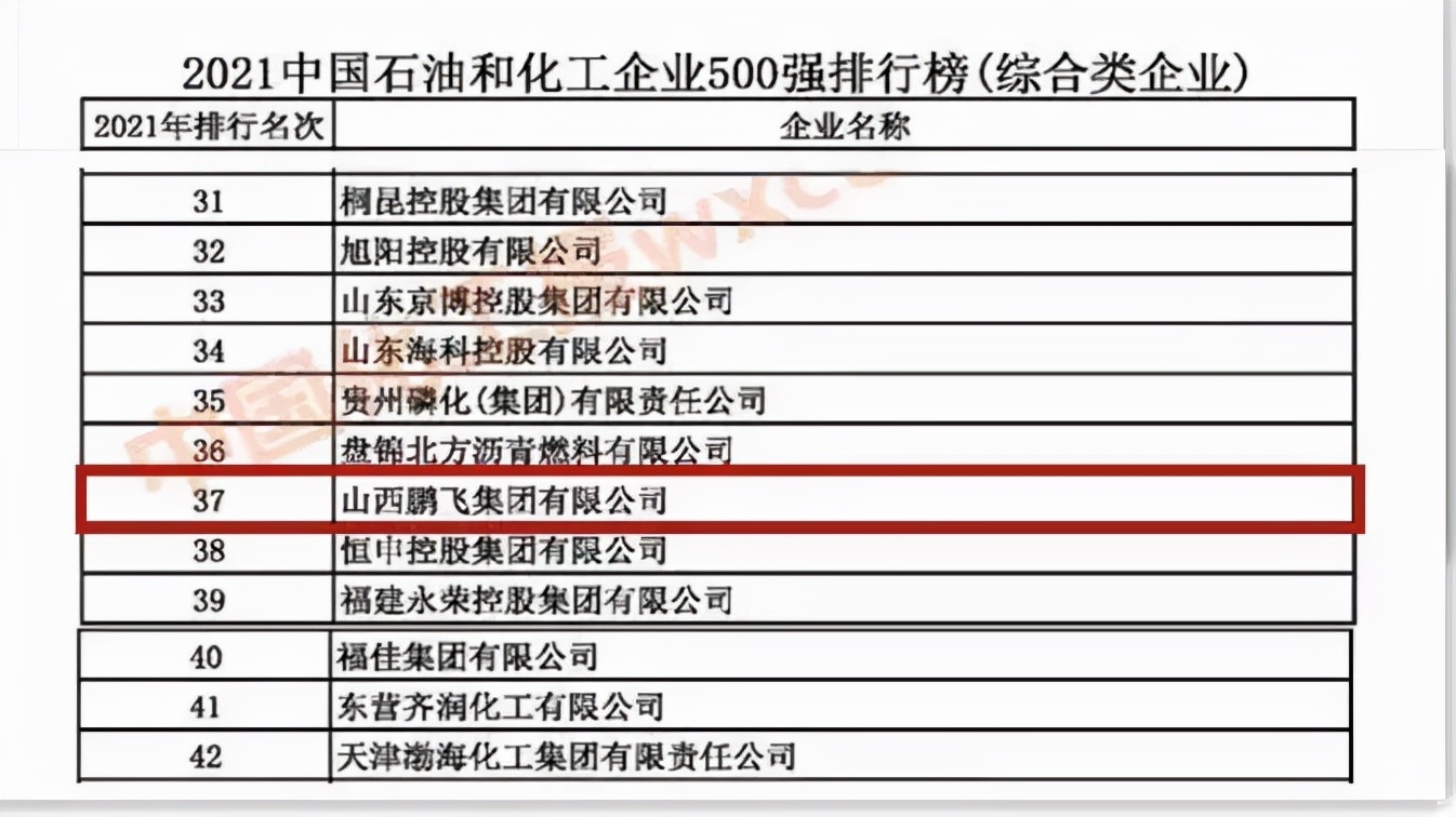 绿色鹏飞 引领未来——2021 成就令人振奋，2022 目标催人奋进