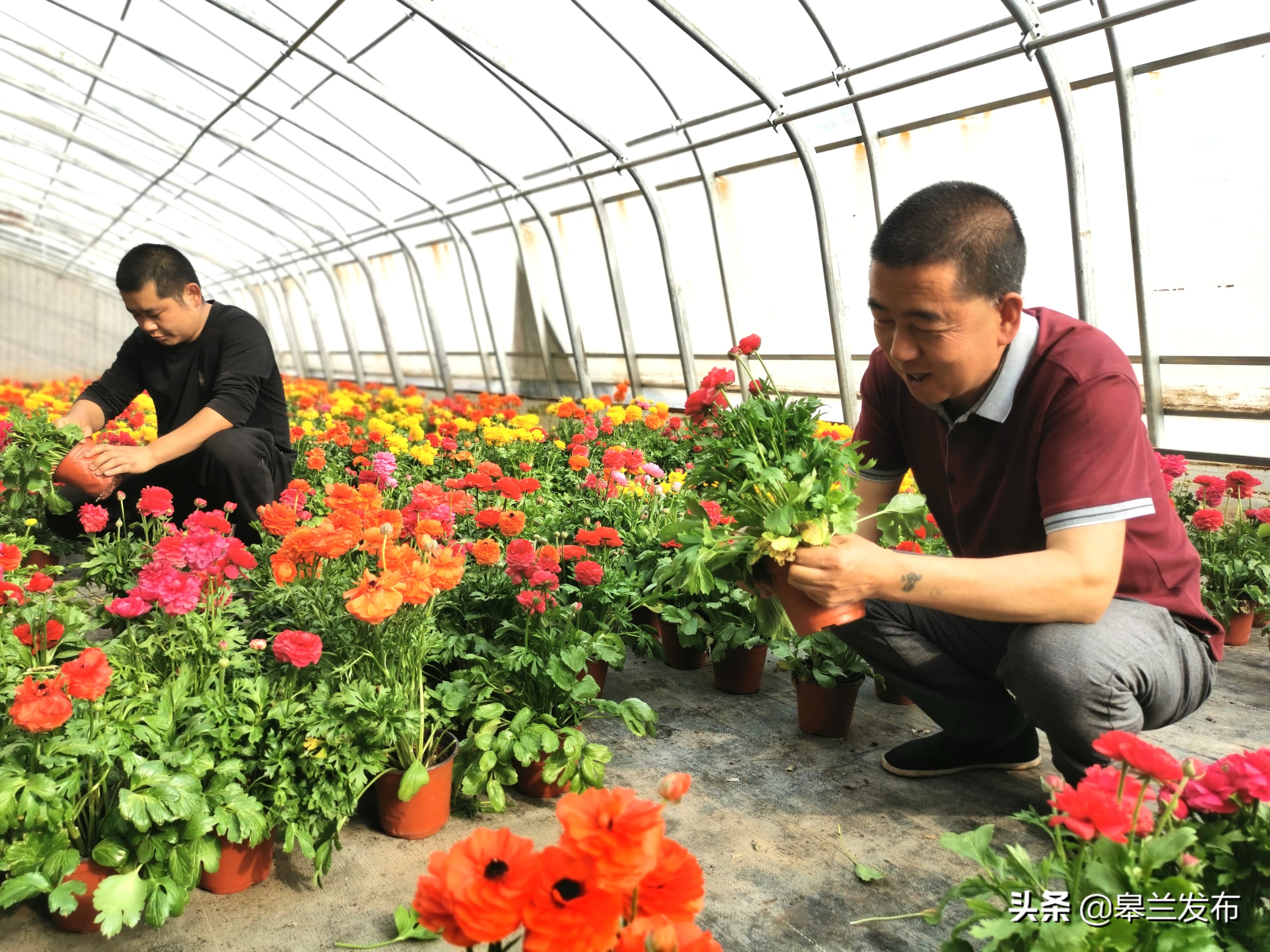 �������ⲻ��ũ�� �������ﴺ��æ