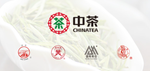 2024年最佳生茶排行榜：十大顶级普洱生茶品牌推荐