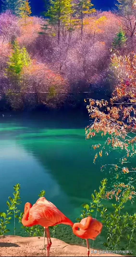 壁纸美图,美的风景为您带来愉快的心情