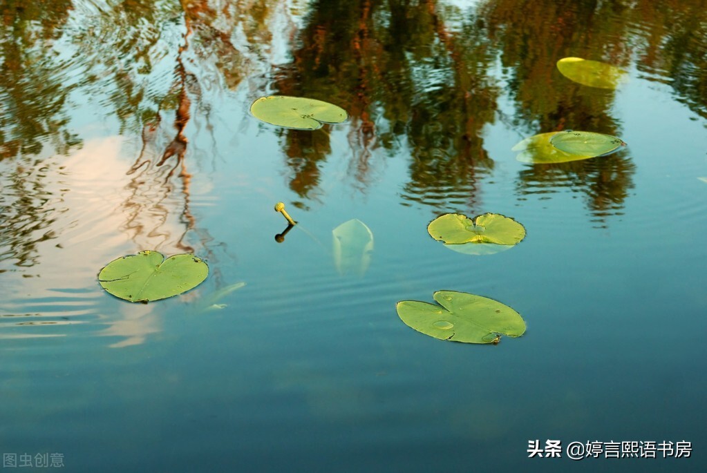 上善若水,为人处世的要旨——这是我见过最好的回答